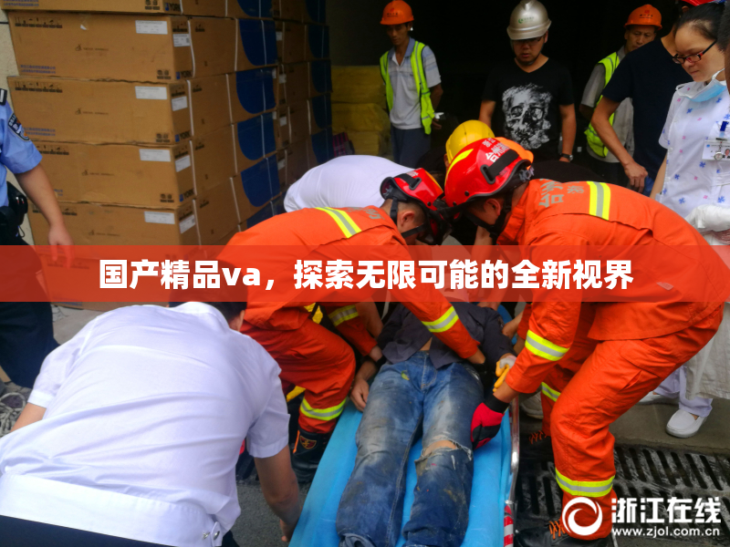 国产精品va，探索无限可能的全新视界