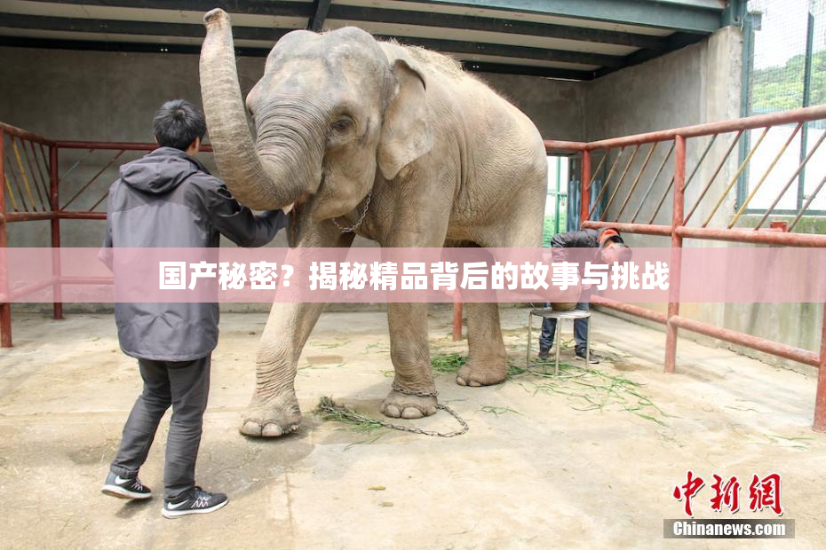 国产秘密？揭秘精品背后的故事与挑战