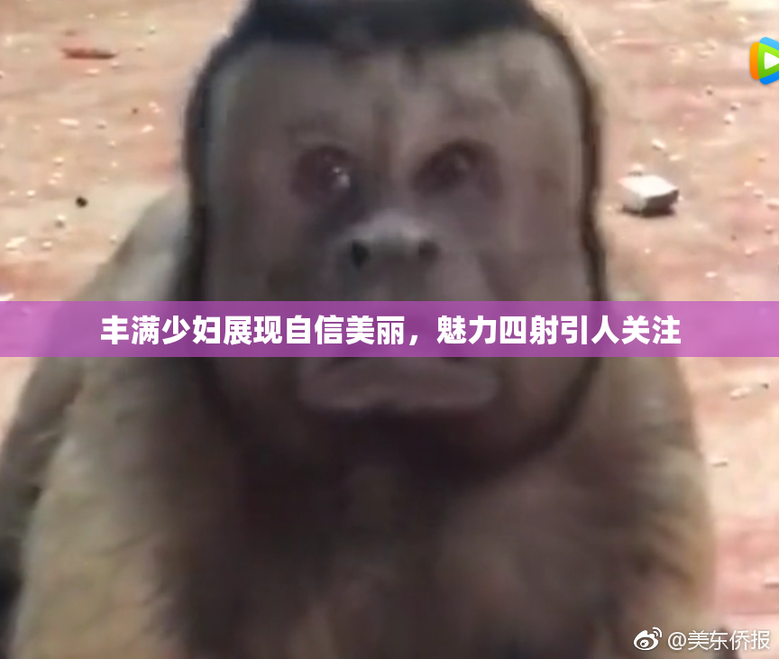 丰满少妇展现自信美丽，魅力四射引人关注