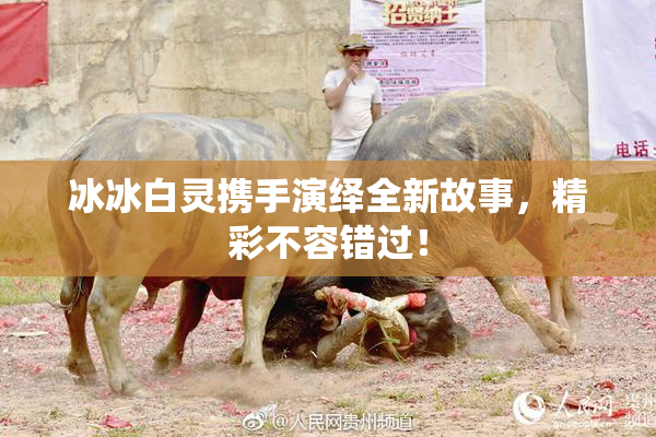 冰冰白灵携手演绎全新故事，精彩不容错过！
