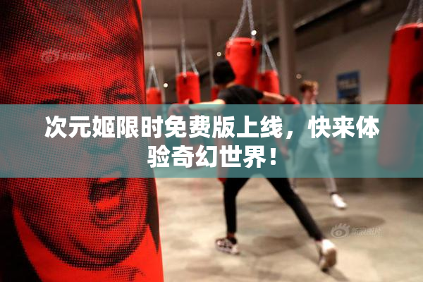 次元姬限时免费版上线，快来体验奇幻世界！
