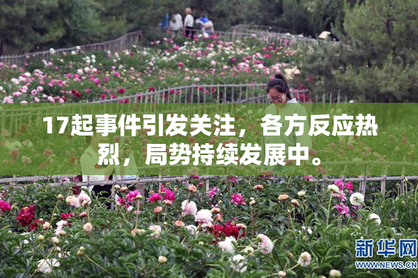 17起事件引发关注，各方反应热烈，局势持续发展中。