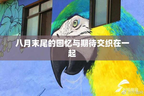 八月末尾的回忆与期待交织在一起