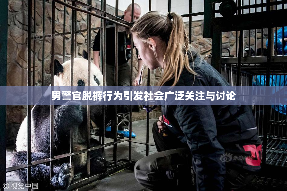 男警官脱裤行为引发社会广泛关注与讨论