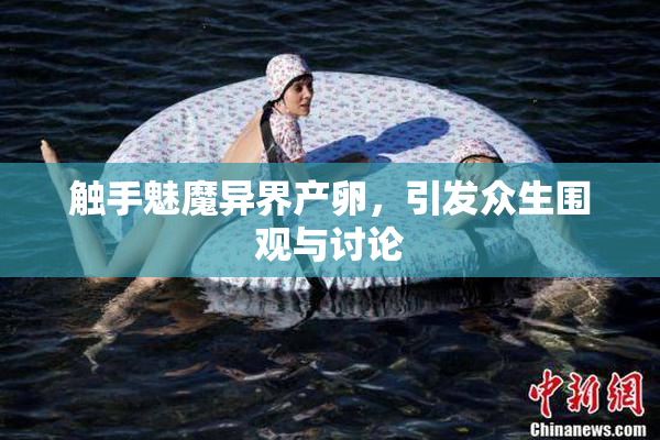 触手魅魔异界产卵，引发众生围观与讨论