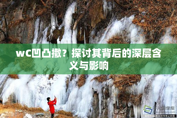 wC凹凸撒？探讨其背后的深层含义与影响