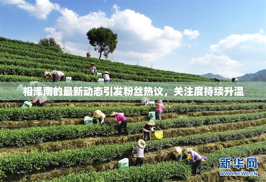 相泽南的最新动态引发粉丝热议，关注度持续升温