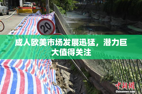 成人欧美市场发展迅猛，潜力巨大值得关注