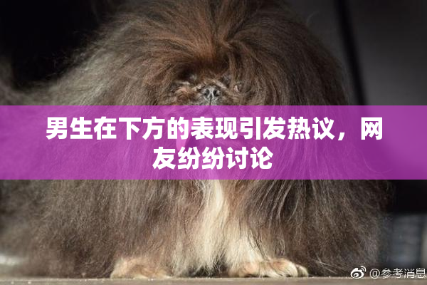 男生在下方的表现引发热议，网友纷纷讨论