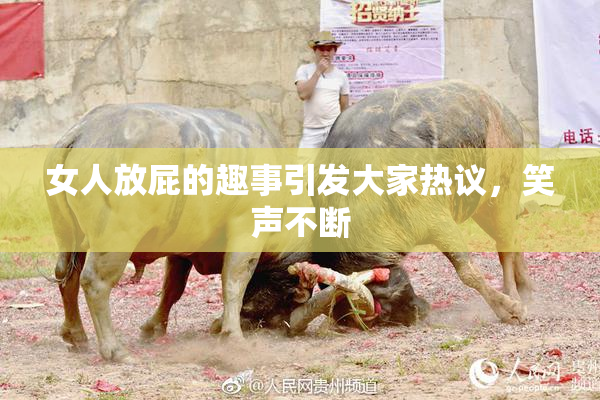 女人放屁的趣事引发大家热议，笑声不断
