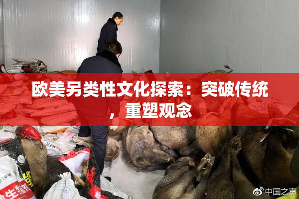 欧美另类性文化探索：突破传统，重塑观念