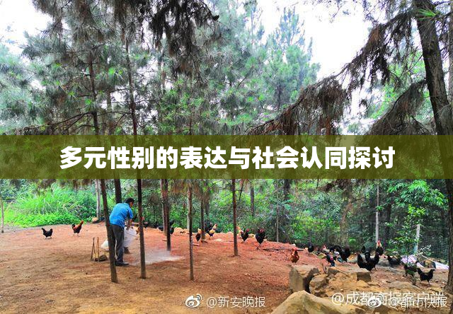 多元性别的表达与社会认同探讨