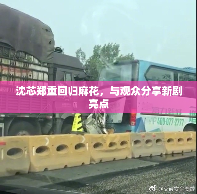 沈芯郑重回归麻花，与观众分享新剧亮点