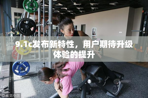 9.1c发布新特性，用户期待升级体验的提升