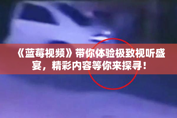 《蓝莓视频》带你体验极致视听盛宴，精彩内容等你来探寻！