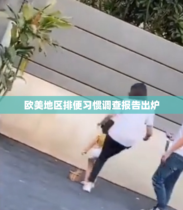 欧美地区排便习惯调查报告出炉