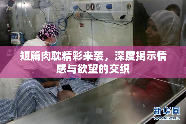 短篇肉耽精彩来袭，深度揭示情感与欲望的交织