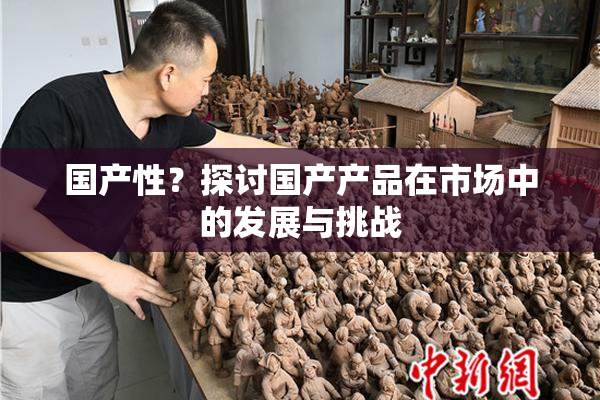 国产性？探讨国产产品在市场中的发展与挑战