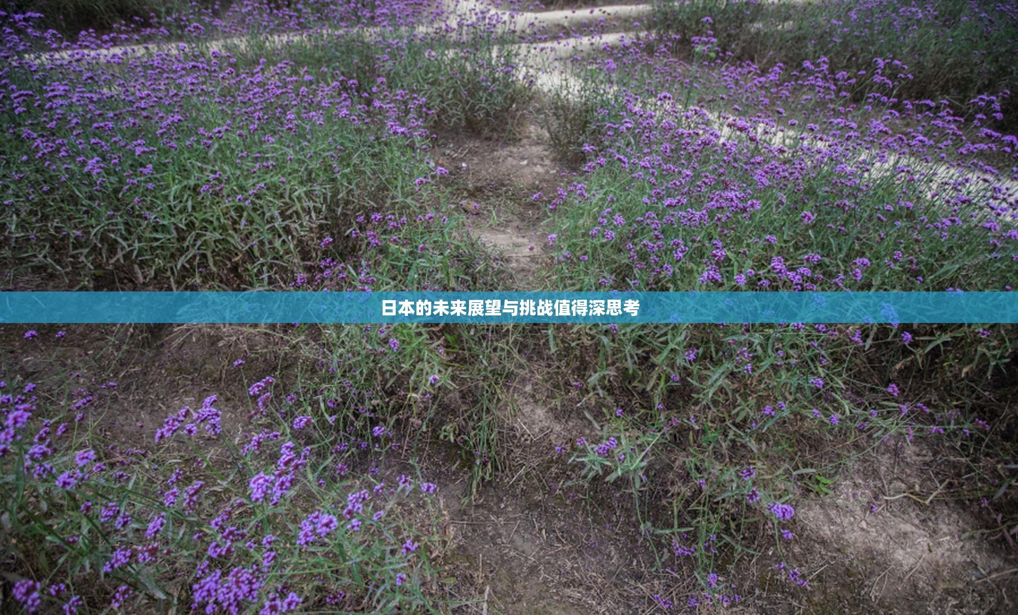 日本的未来展望与挑战值得深思考