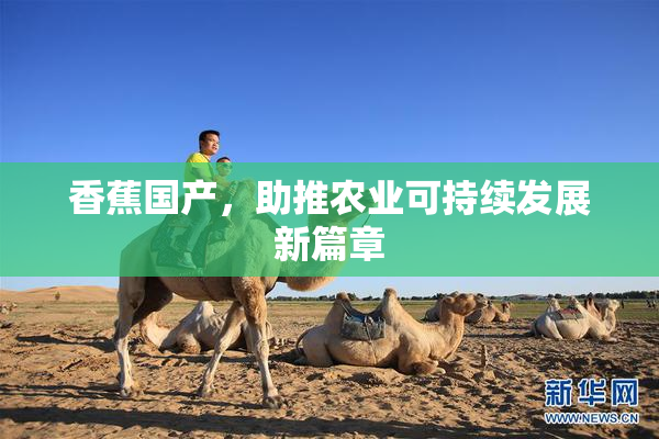 香蕉国产，助推农业可持续发展新篇章