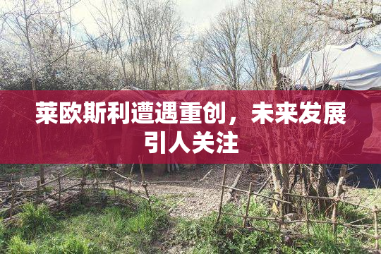 莱欧斯利遭遇重创，未来发展引人关注