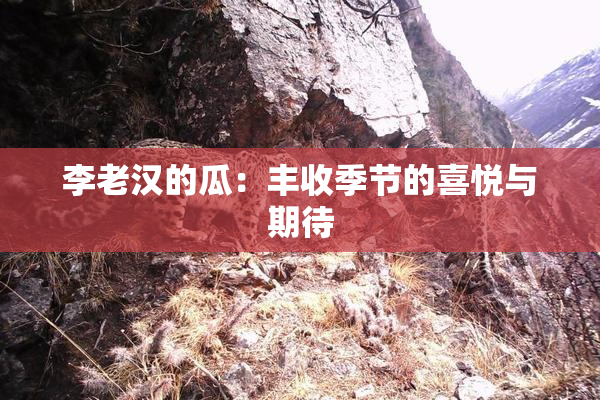 李老汉的瓜：丰收季节的喜悦与期待