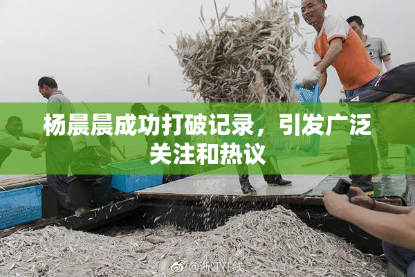 杨晨晨成功打破记录，引发广泛关注和热议