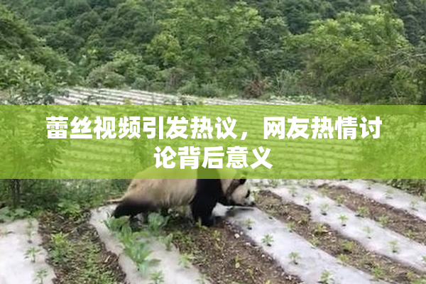 蕾丝视频引发热议，网友热情讨论背后意义