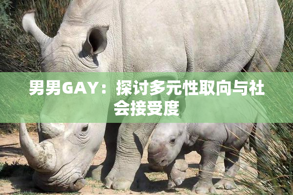 男男GAY：探讨多元性取向与社会接受度