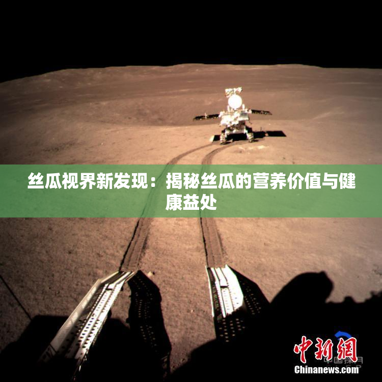丝瓜视界新发现：揭秘丝瓜的营养价值与健康益处