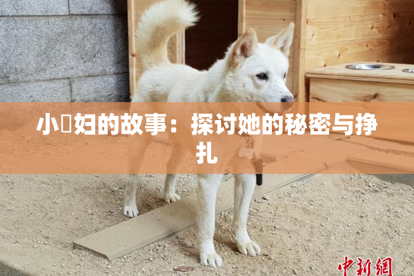 小婬妇的故事：探讨她的秘密与挣扎