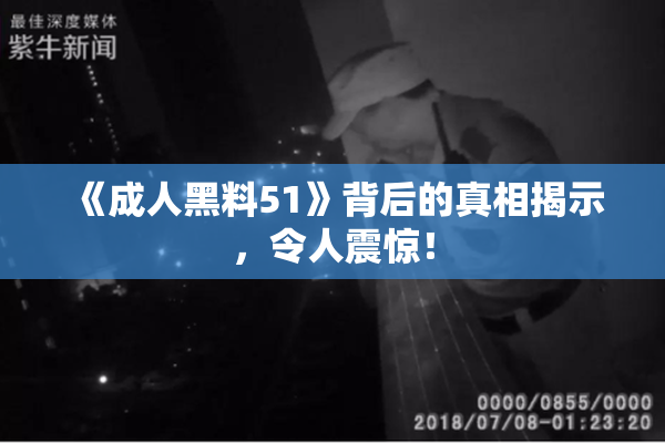 《成人黑料51》背后的真相揭示，令人震惊！