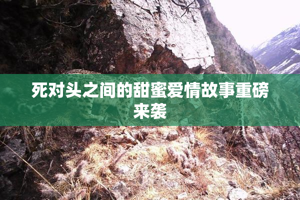 死对头之间的甜蜜爱情故事重磅来袭