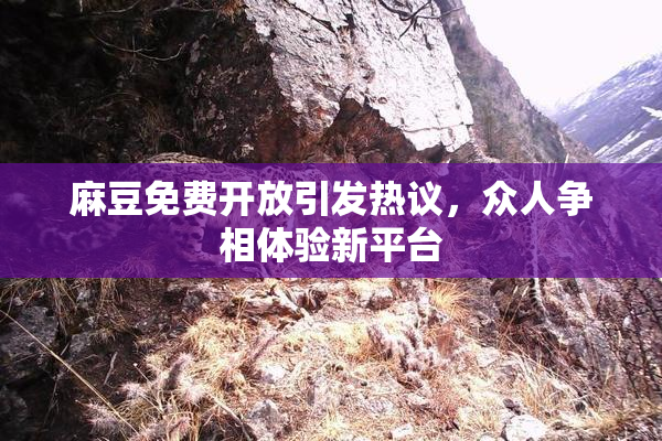 麻豆免费开放引发热议，众人争相体验新平台