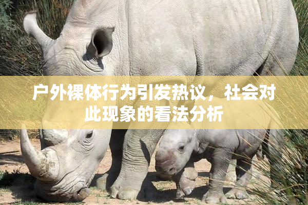 户外裸体行为引发热议，社会对此现象的看法分析