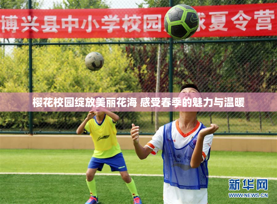 樱花校园绽放美丽花海 感受春季的魅力与温暖