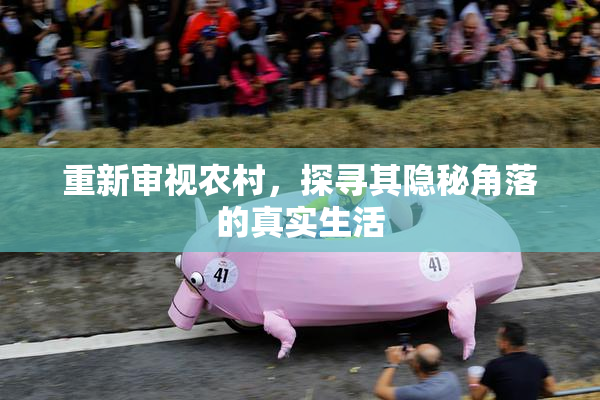 重新审视农村，探寻其隐秘角落的真实生活