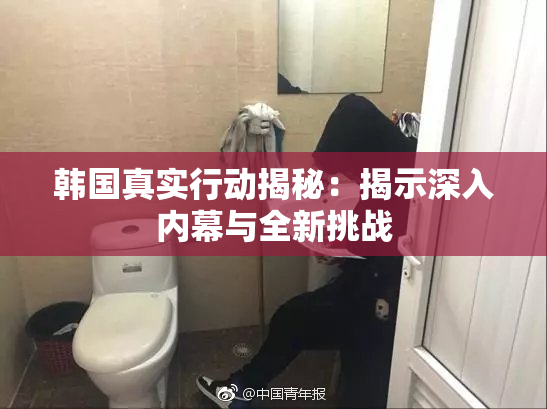 韩国真实行动揭秘：揭示深入内幕与全新挑战
