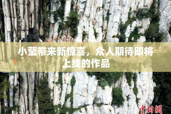 小莹带来新惊喜，众人期待即将上线的作品