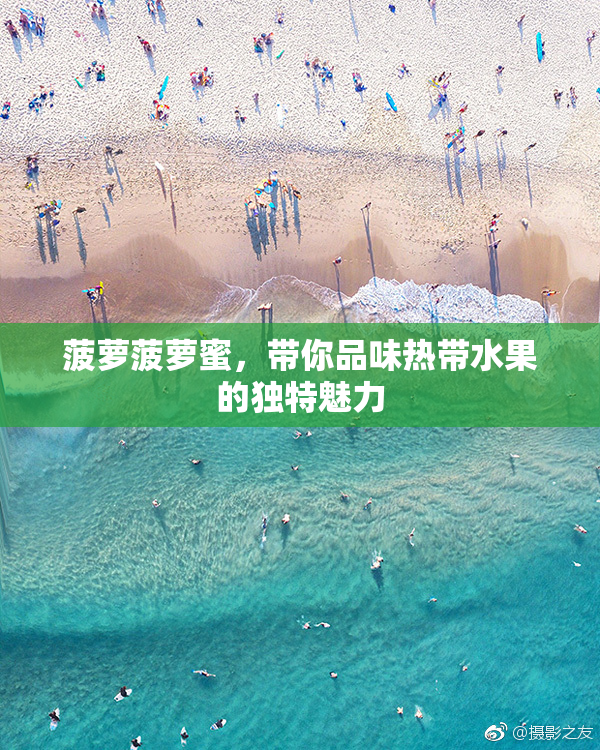 菠萝菠萝蜜，带你品味热带水果的独特魅力
