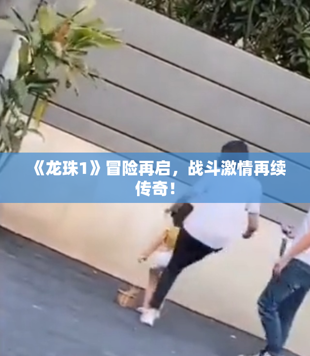 《龙珠1》冒险再启，战斗激情再续传奇！