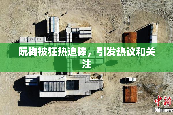 阮梅被狂热追捧，引发热议和关注