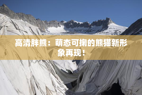 高清胖熊：萌态可掬的熊猫新形象再现！