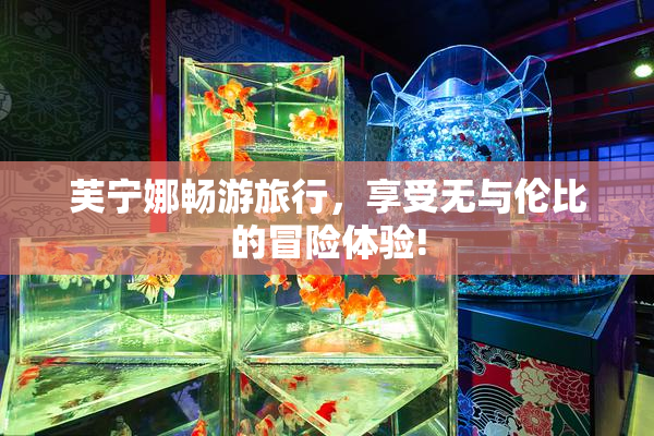 芙宁娜畅游旅行，享受无与伦比的冒险体验!