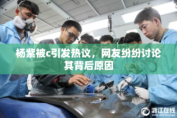 杨紫被c引发热议，网友纷纷讨论其背后原因