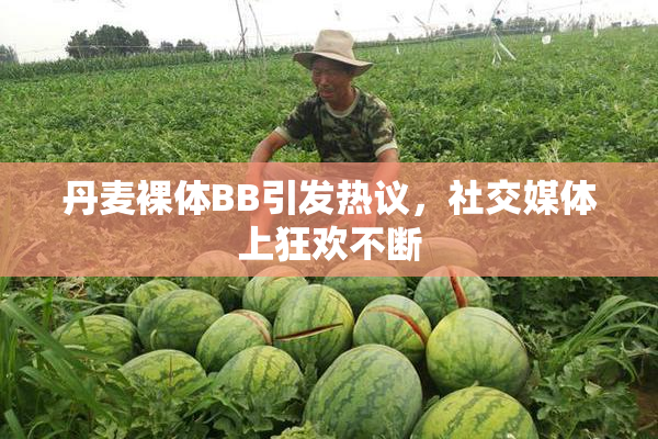 丹麦裸体BB引发热议，社交媒体上狂欢不断