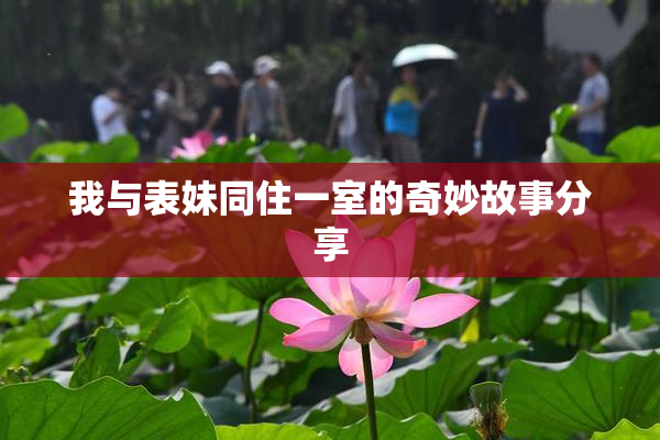 我与表妹同住一室的奇妙故事分享