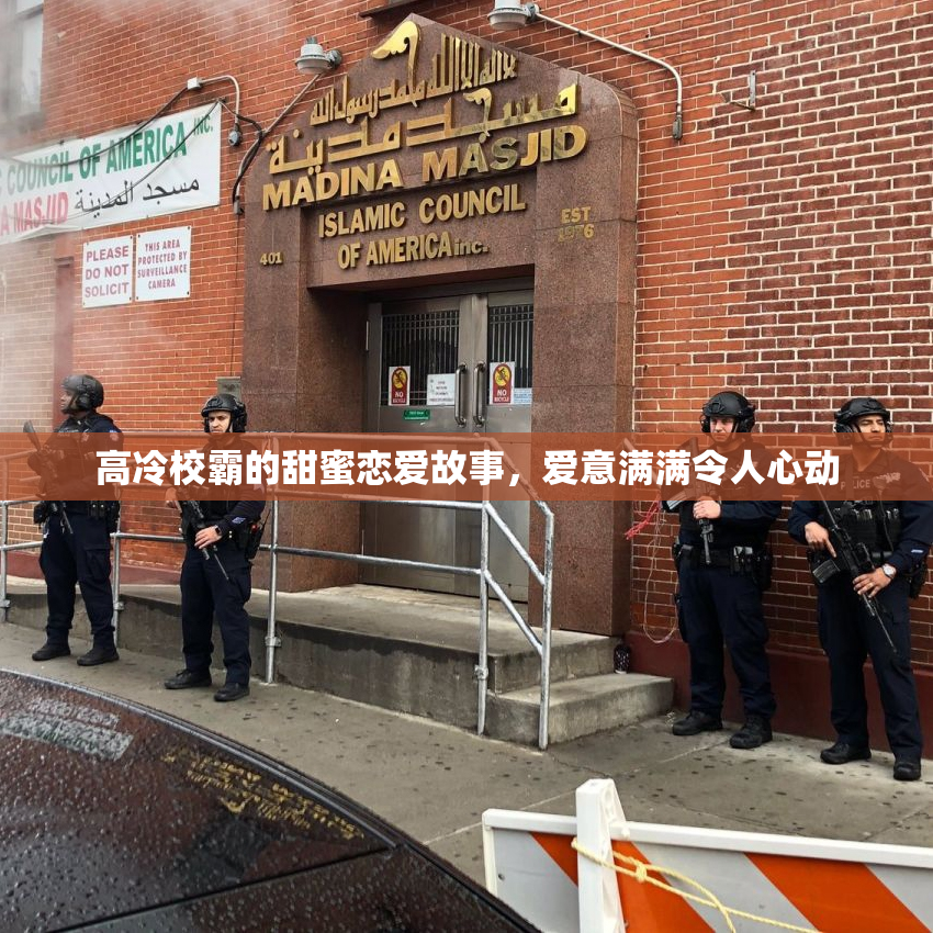 高冷校霸的甜蜜恋爱故事，爱意满满令人心动