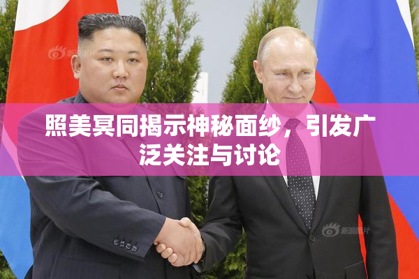 照美冥同揭示神秘面纱，引发广泛关注与讨论