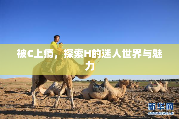 被C上瘾，探索H的迷人世界与魅力